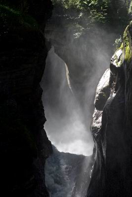 Clicca sulla foto per tornare indietro